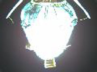 Bigelow Aerospace Genesis 1